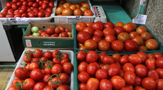 LEGUMES E VERDURAS NO MERCADO MUNICIPAL – BATATA – ALFACE – TOMATE – CENOURA –