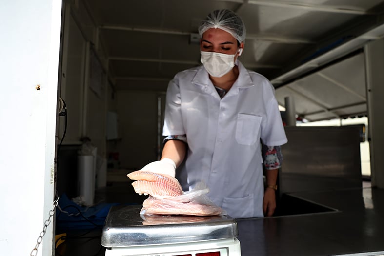 pescados PEIXE