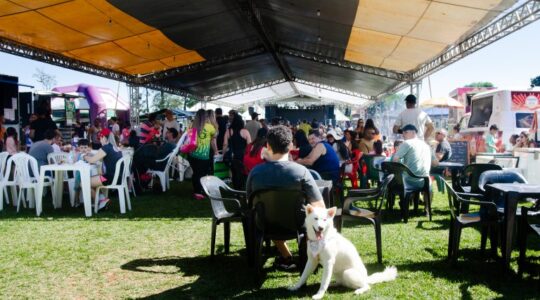 Festa Trabalhador Cambé