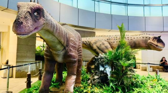 Dinos2-Divulgacao-PkB