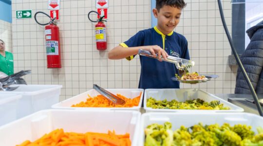alimentos