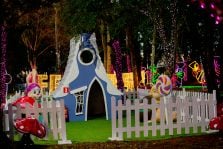 bosque do coelho