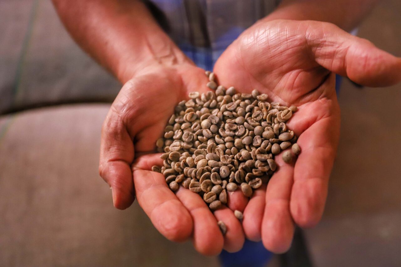 cafe da fazenda palmeira