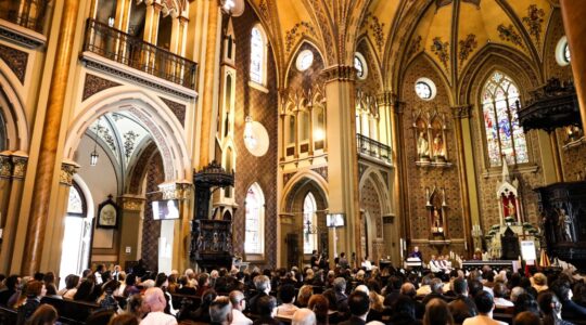 catedral7