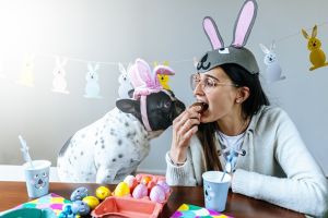 chocolate para pets