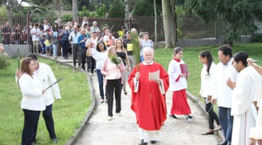 domingo de ramos