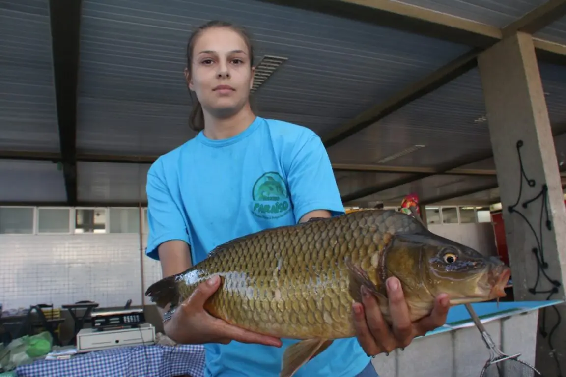feira do peixe ponta grossa