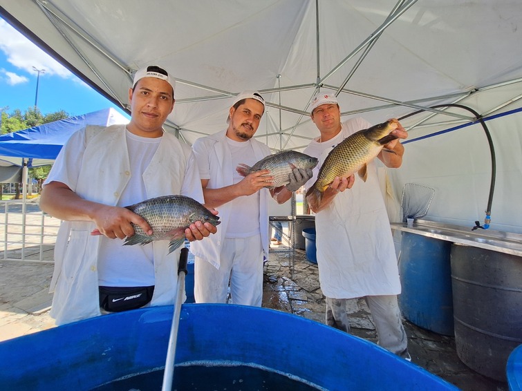 feira do peixe