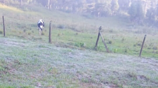 frio e geada. jpg