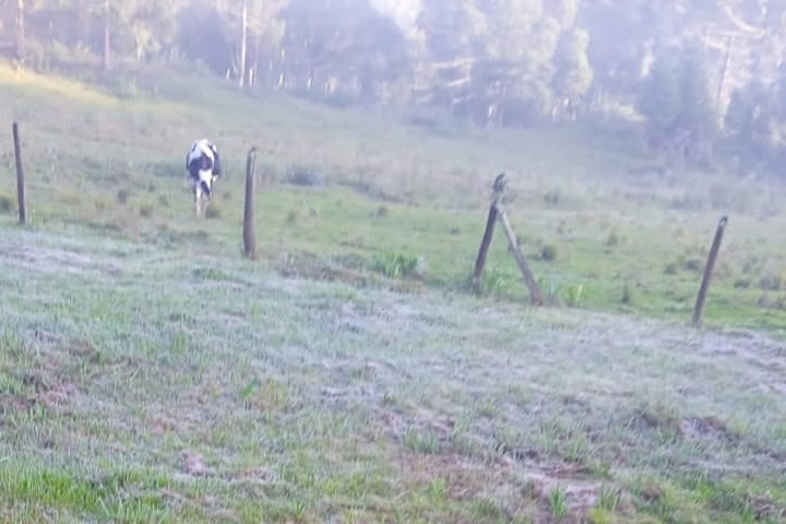 frio e geada. jpg