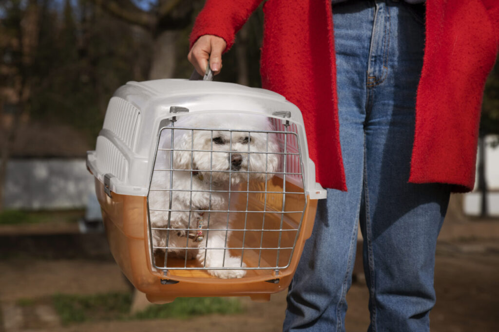 front-view-owner-with-pet-carrier