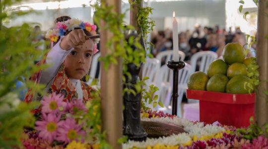 hana matsuri são josé dos pinhais