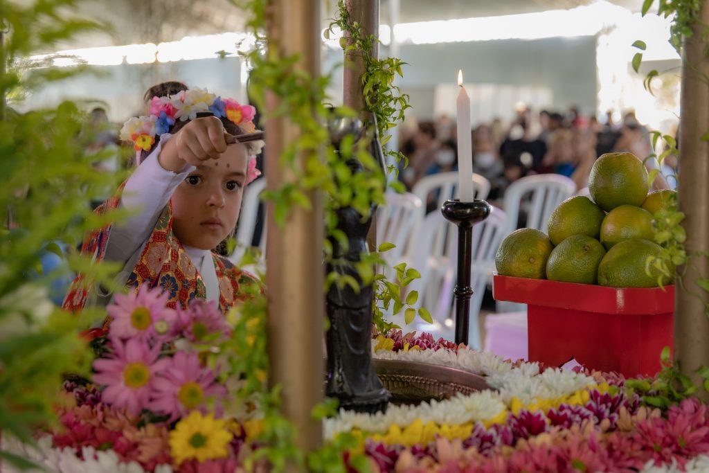 hana matsuri são josé dos pinhais