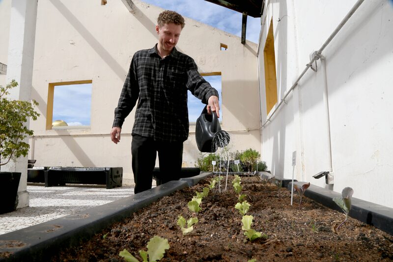 horta urbana
