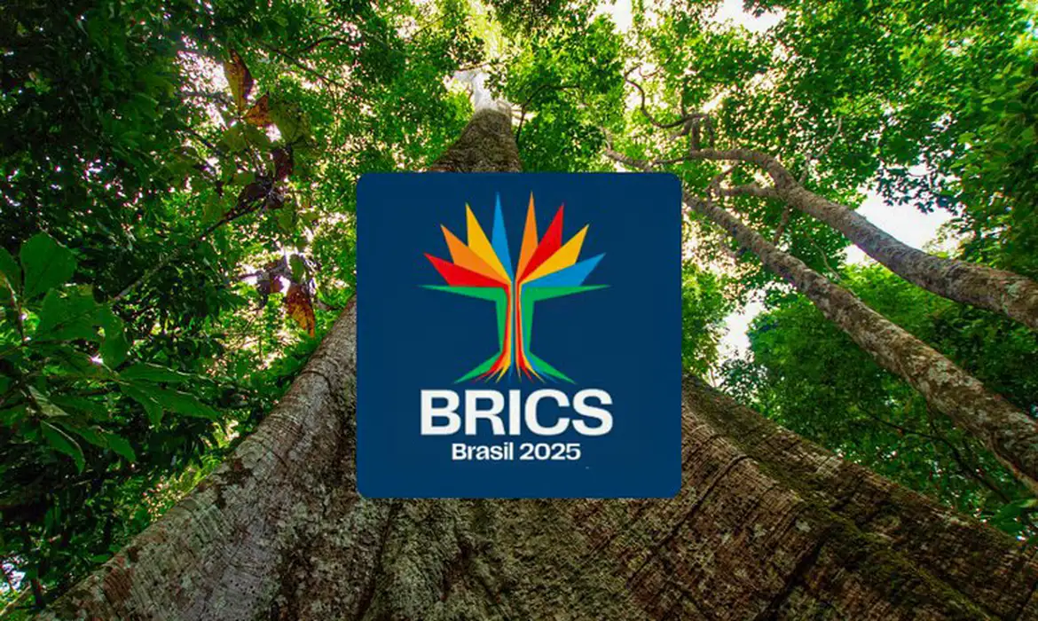 identidade_visual_do_brics_brasil