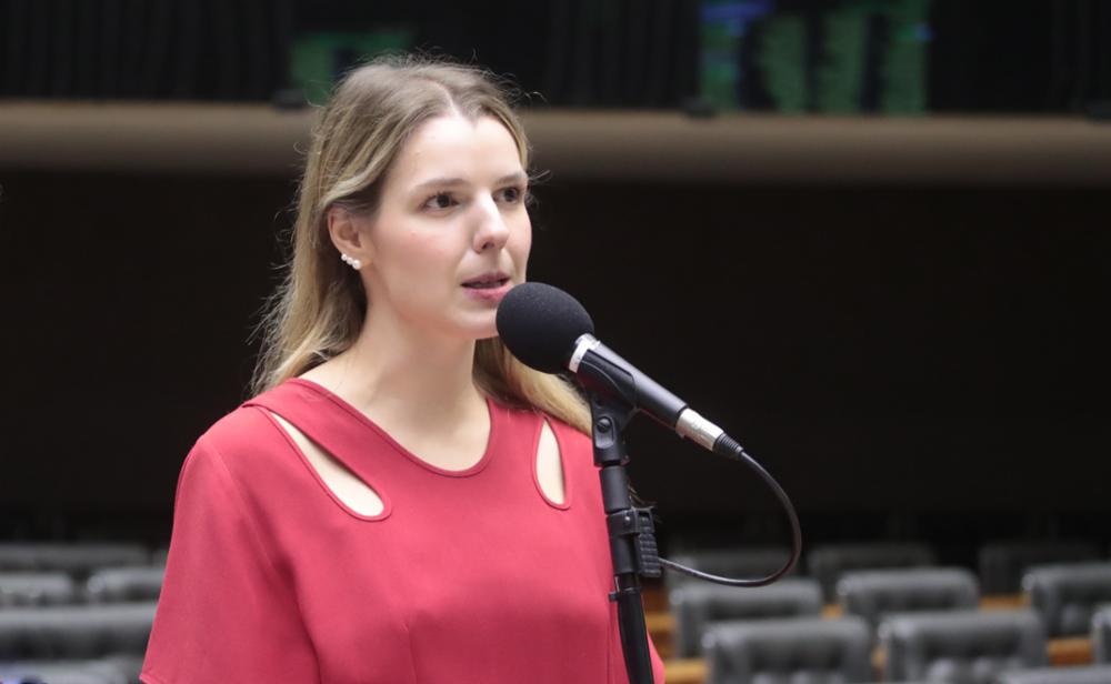 luisa canziani inteligência artificial foto bruno spada agência Câmara