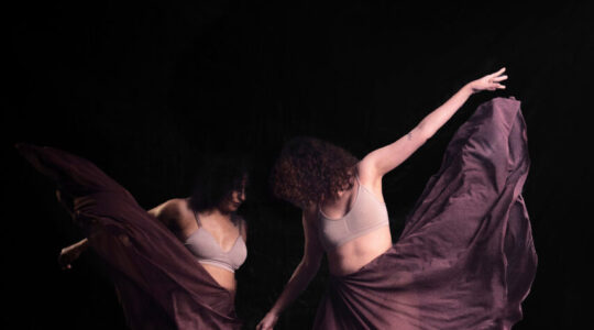 madalenas coletivo erotica dança