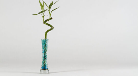 modern-vase-with-bamboo
