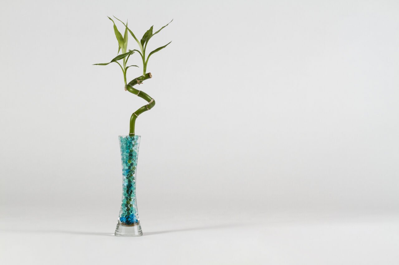 modern-vase-with-bamboo