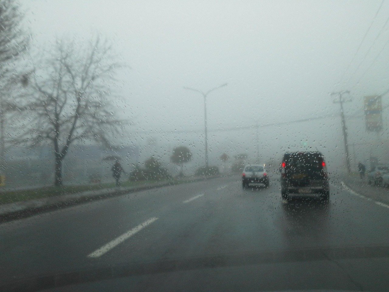 neblina_pixabay (1)