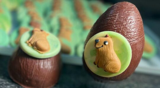 ovo capivara chocolate