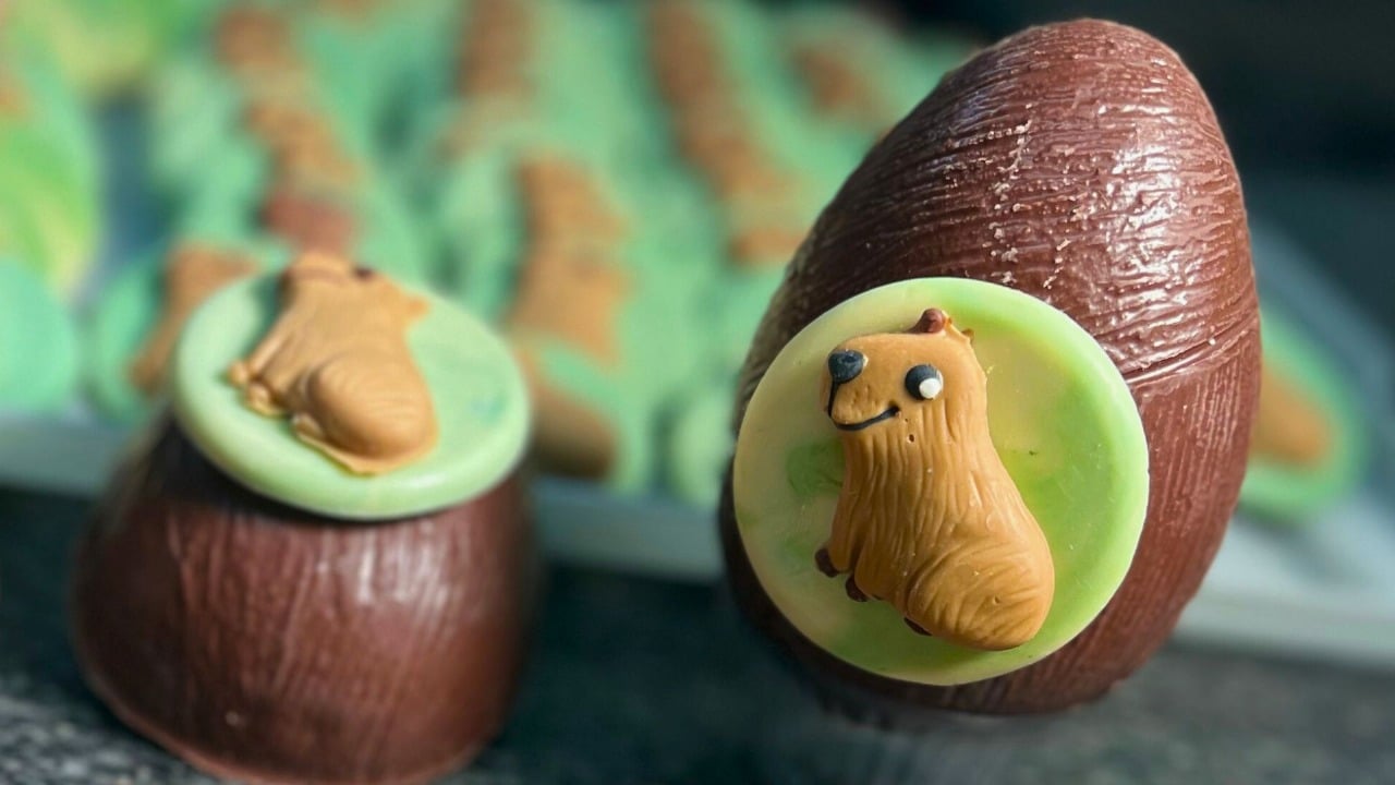 ovo capivara chocolate
