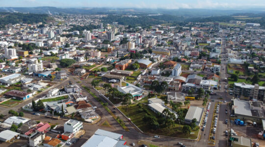 palmas_foto_rdziura-0159
