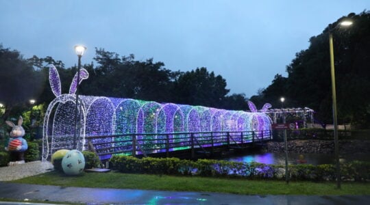 páscoa pinhais
