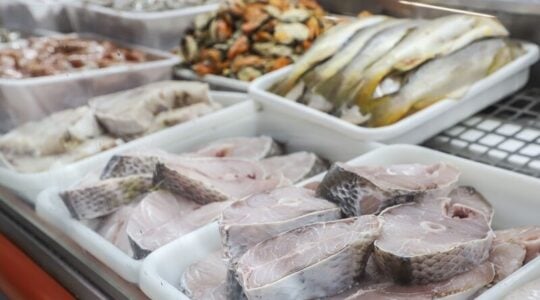 pescados
