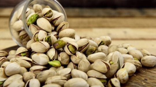pistachio