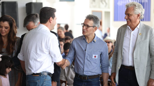 ratinho, zema e caiado