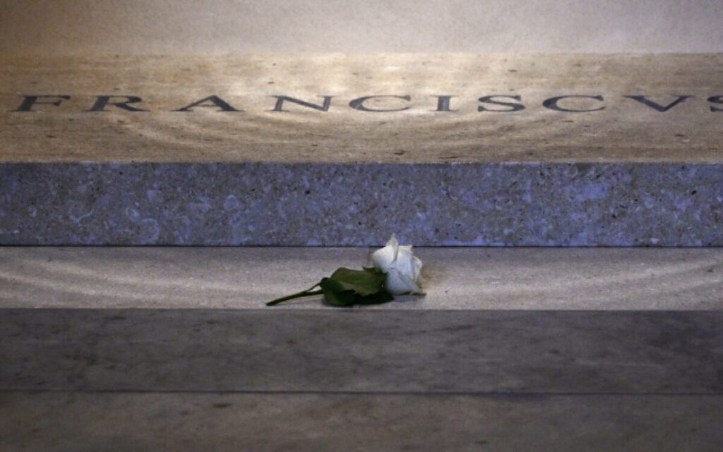 rosa branca papa