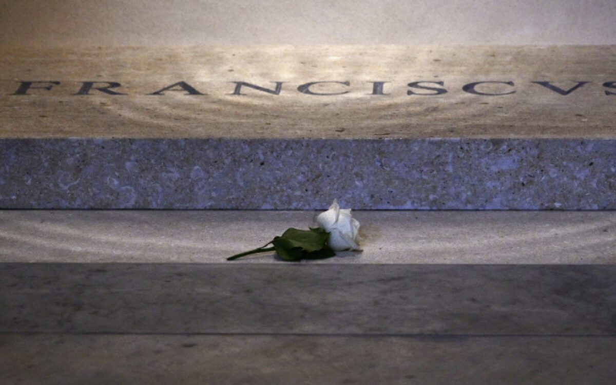 rosa branca papa