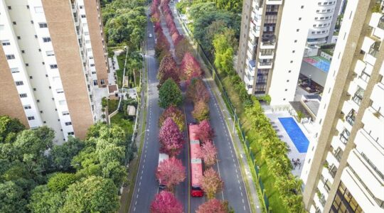 rua3
