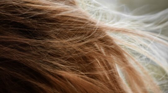 taylor-smith-zz-UAKRabJs-unsplash