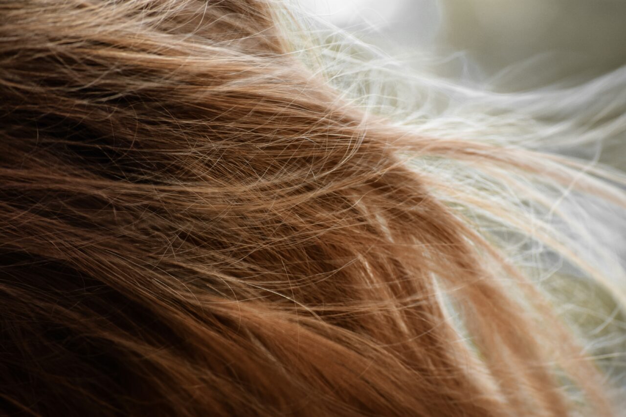 taylor-smith-zz-UAKRabJs-unsplash