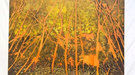 unnamed