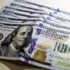 00dolar valter campanato