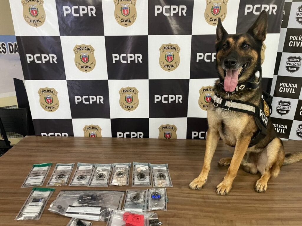 09policia2