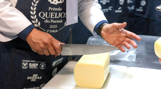 Concurso Queijo