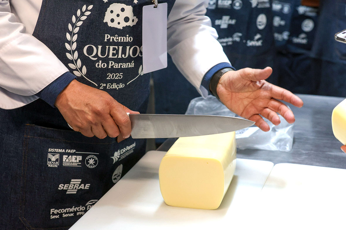 Concurso Queijo