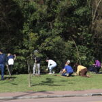 Arvores (2)