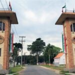 Caminho do Vinho: roteiro turístico em São José dos Pinhais é considerado um dos melhores do Brasil