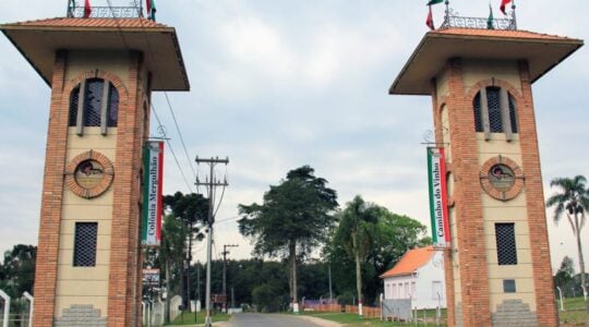 Caminho do Vinho: roteiro turístico em São José dos Pinhais é considerado um dos melhores do Brasil
