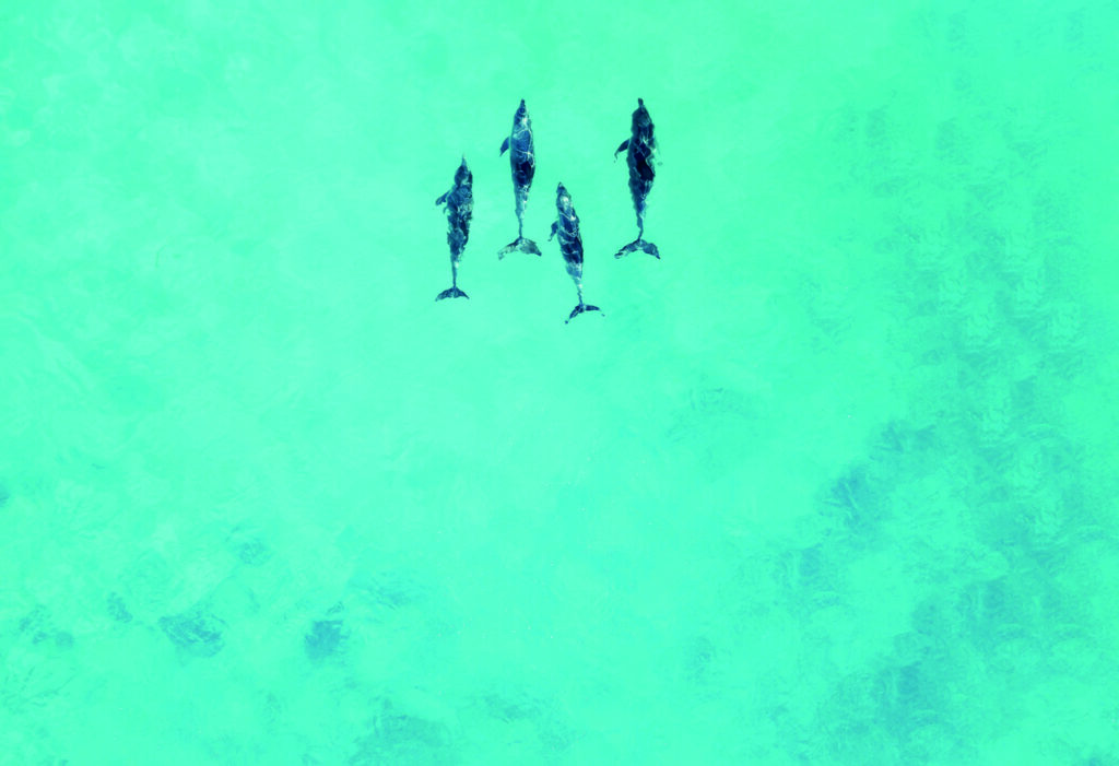 Oceania_secundária 4_Easy-Resize.com
