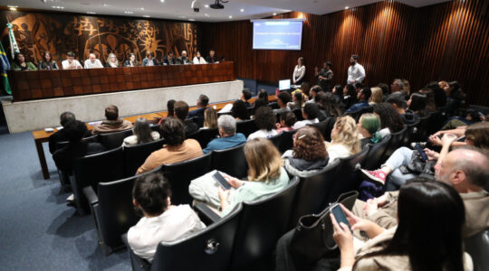 audiência publica