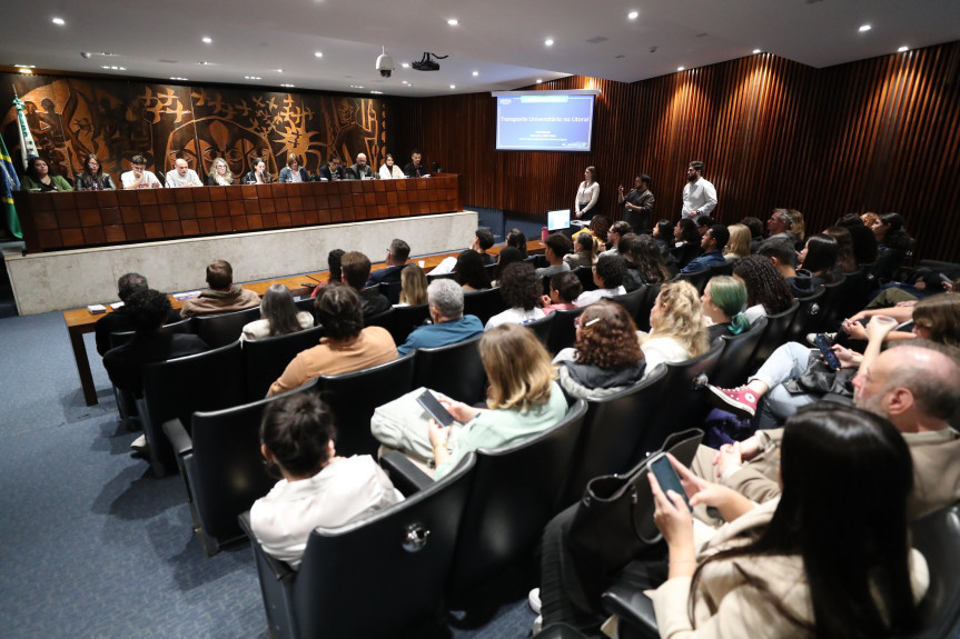 audiência publica