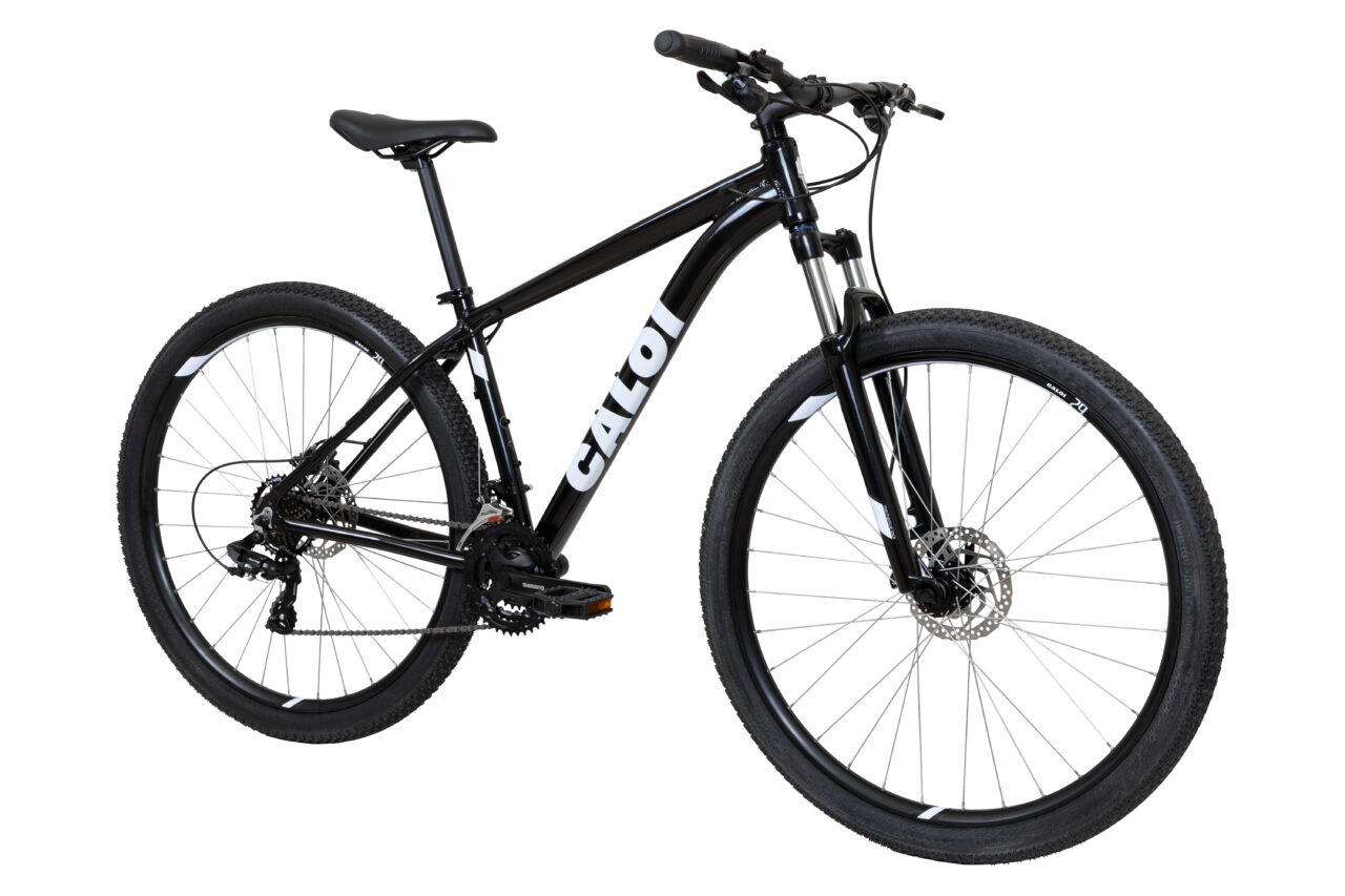 caloi 29
