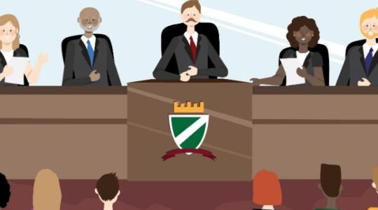 plenario_de_camara_municipal_ilustracao