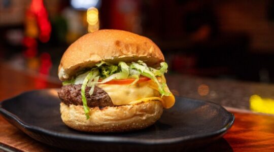 didohamburguer